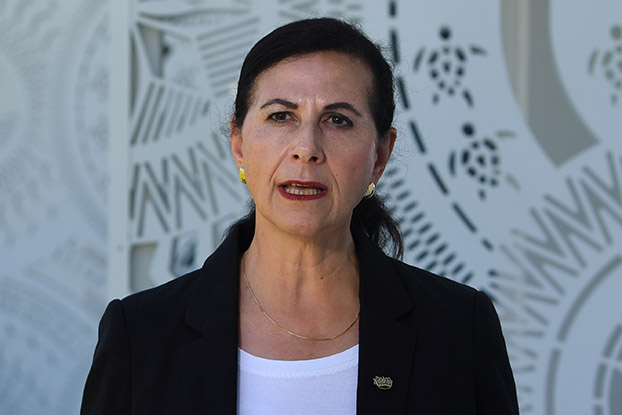 Concetta Fierravanti-Wells, Wollongong-based Senator for NSW (Liberal)<br>
<h10>NO</h10>