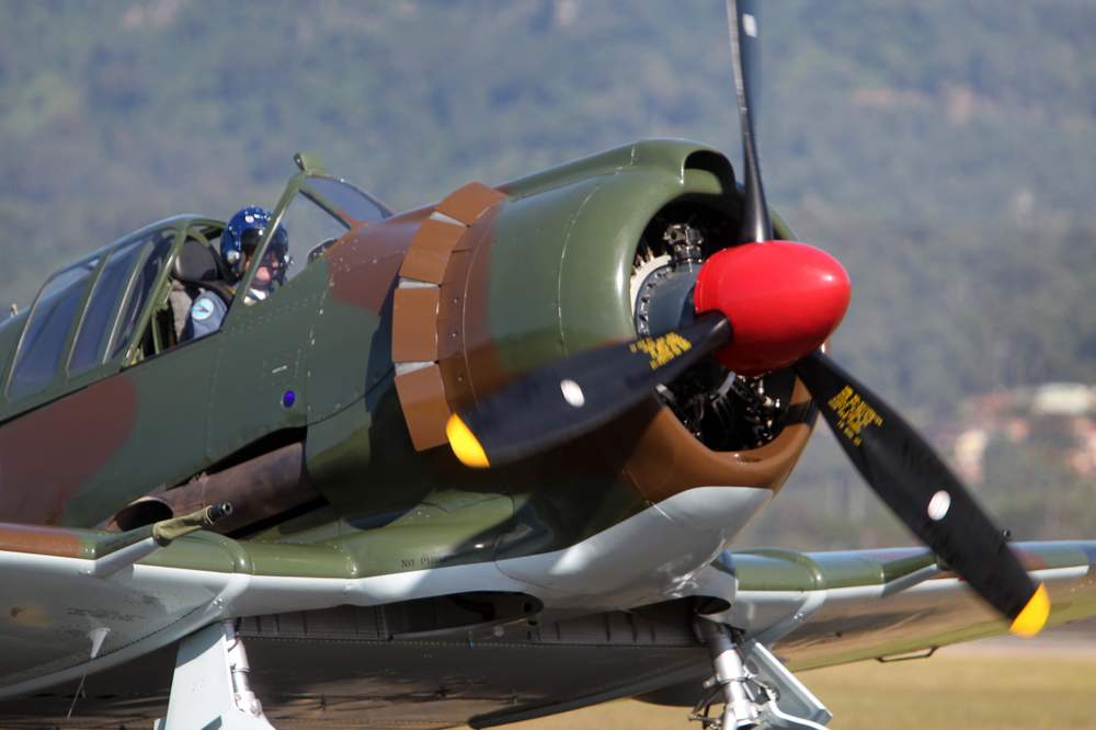 The Boomerang, 2013. Picture: GREG TOTMAN